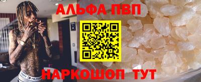 a pvp Славгород