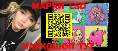 a pvp Славгород