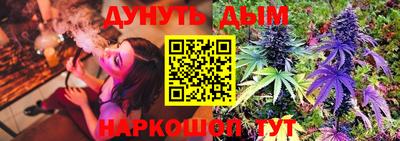 a pvp Славгород