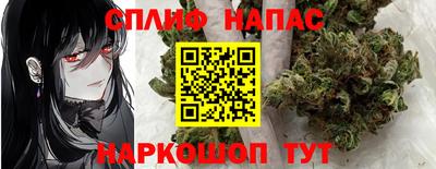 a pvp Славгород