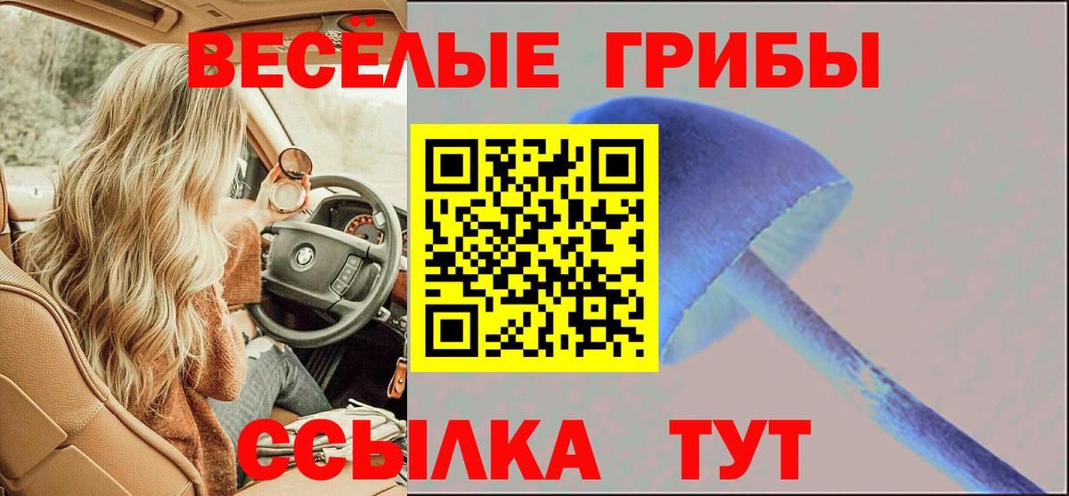 Галлюциногенные грибы прущие грибы Похвистнево